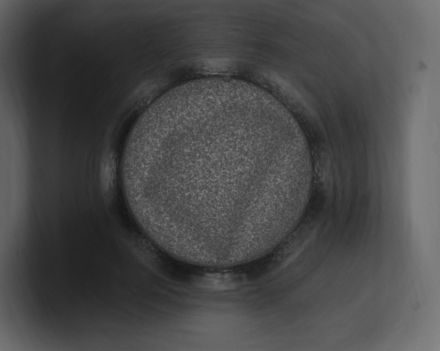 X0000100940744200807151305