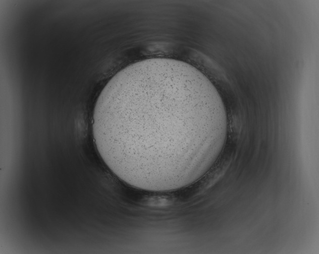 X0000100940751200807151306