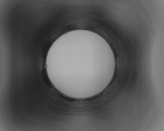 X0000100940752200807151306