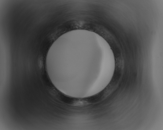 X0000100940754200807151306