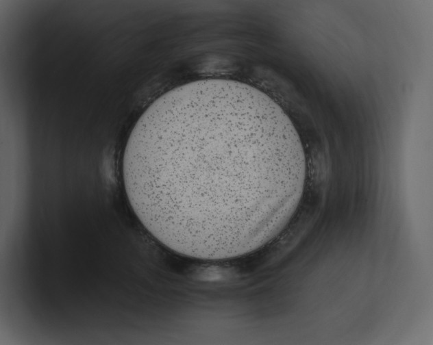 X0000100940755200807151306