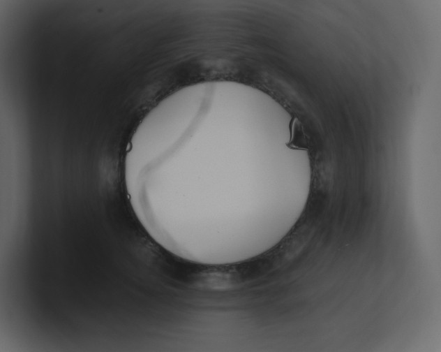 X0000100940756200807151306