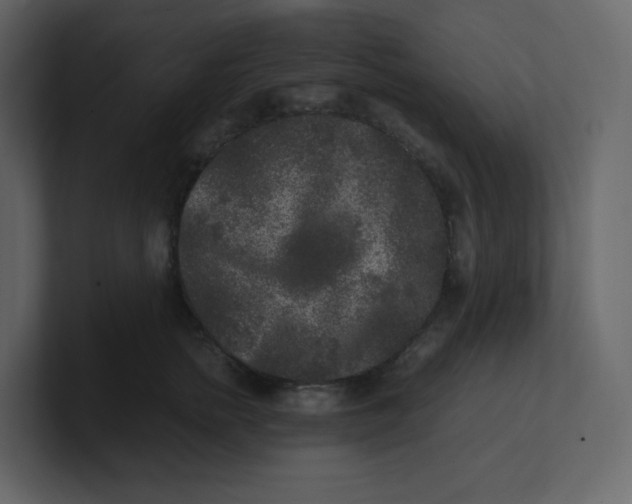 X0000100940758200807151306