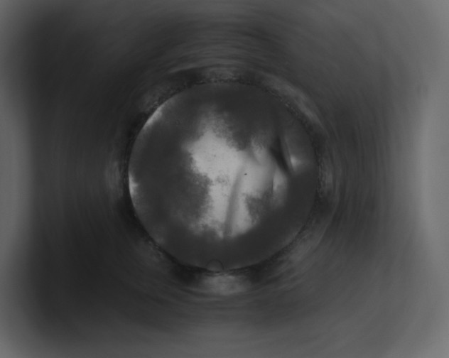 X0000100940759200807151306