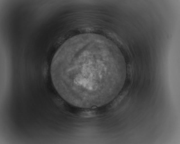 X0000100940760200807151306