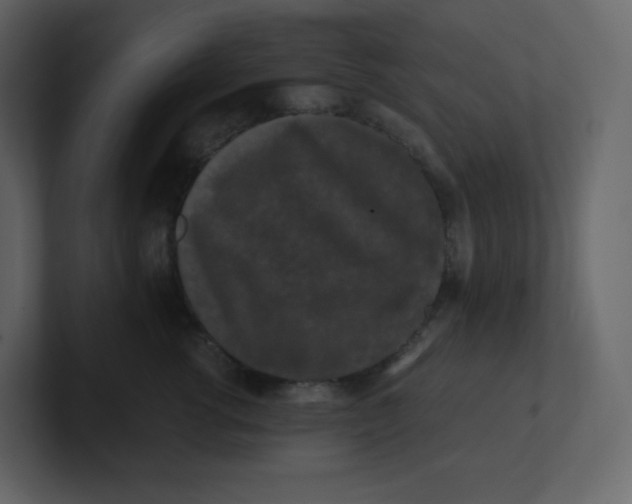 X0000100940762200807151306