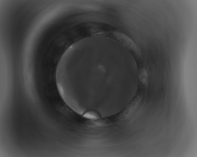 X0000100940763200807151306