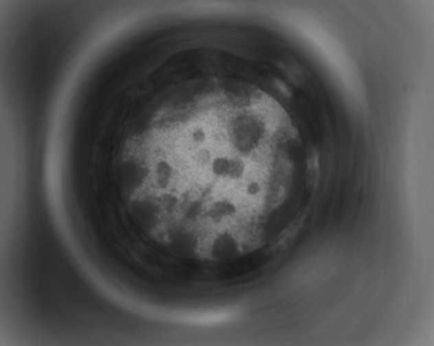 X0000100940765200807151306