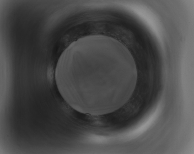 X0000100940767200807151306