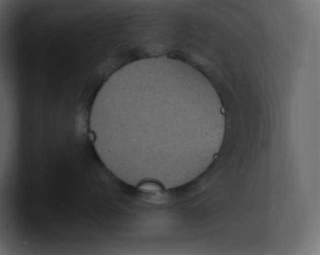 X0000100940768200807151306