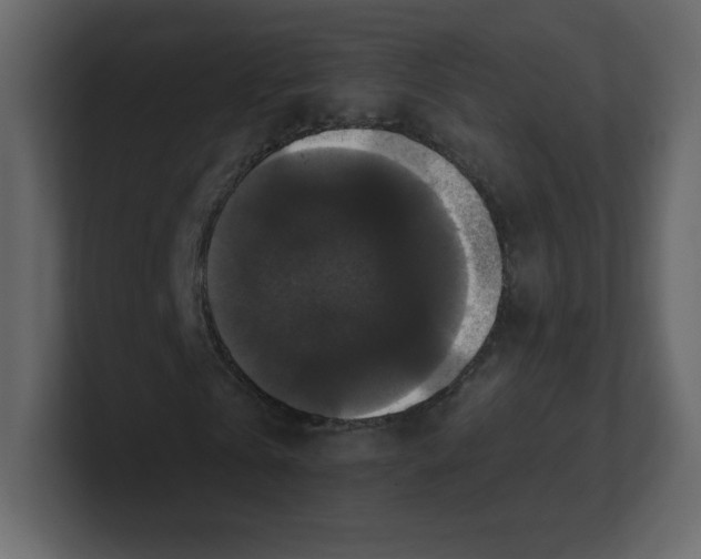 X0000100940769200807151305