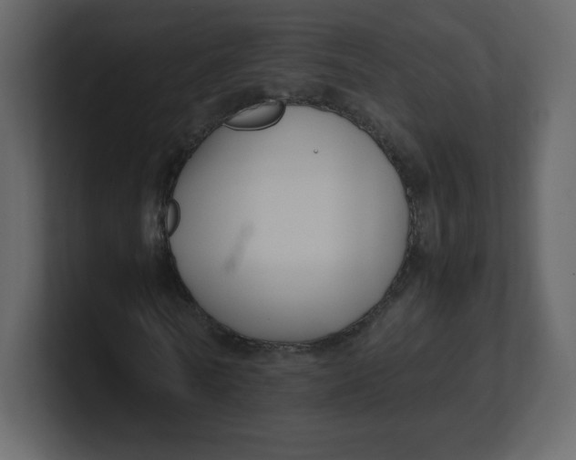 X0000100940770200807151305