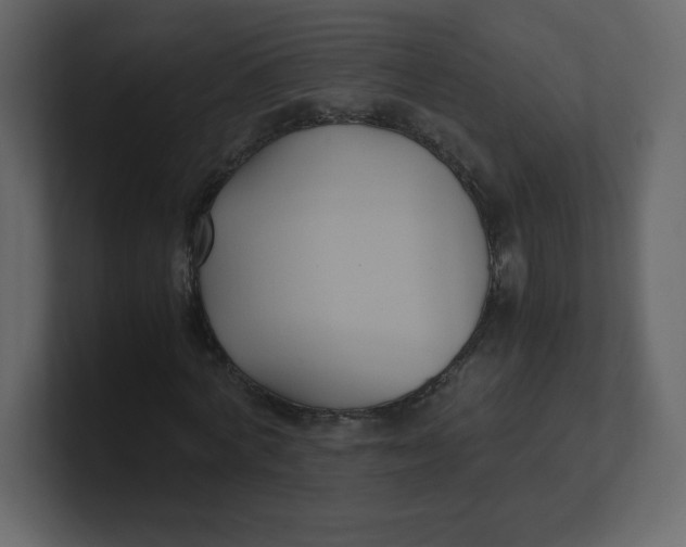 X0000100940772200807151305