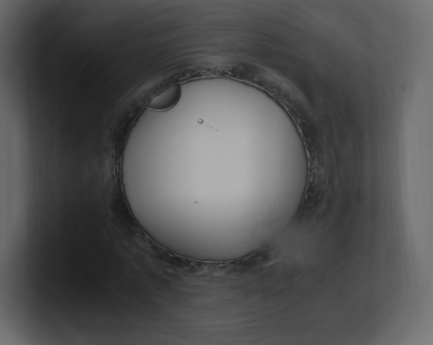 X0000100940773200807151305