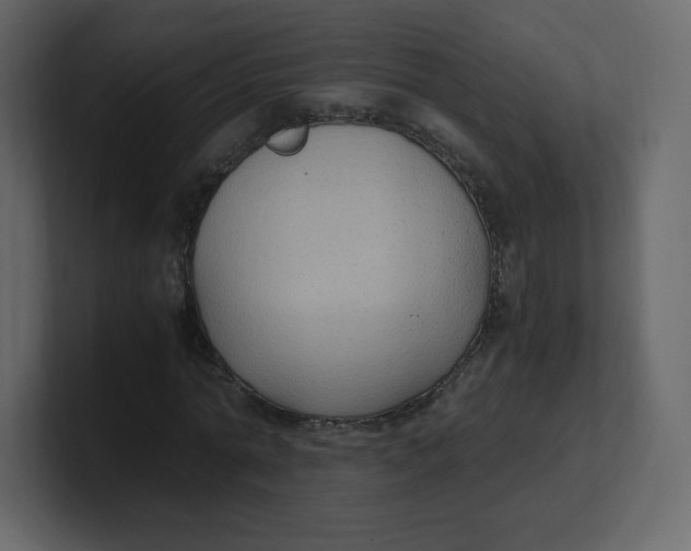 X0000100940774200807151305