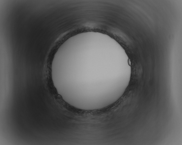 X0000100940776200807151305