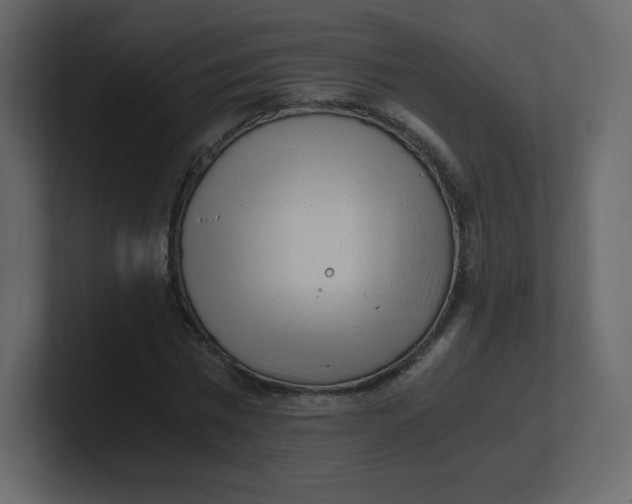 X0000100940777200807151305