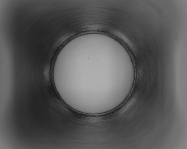 X0000100940778200807151305