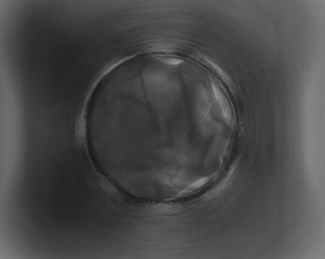 X0000100940779200807151305