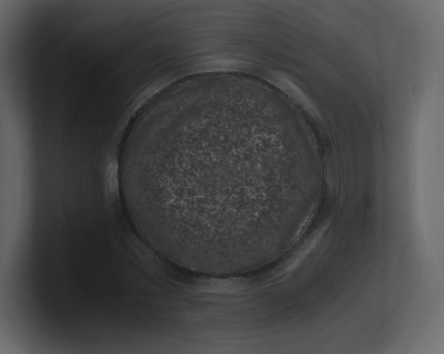 X0000100940781200807151305