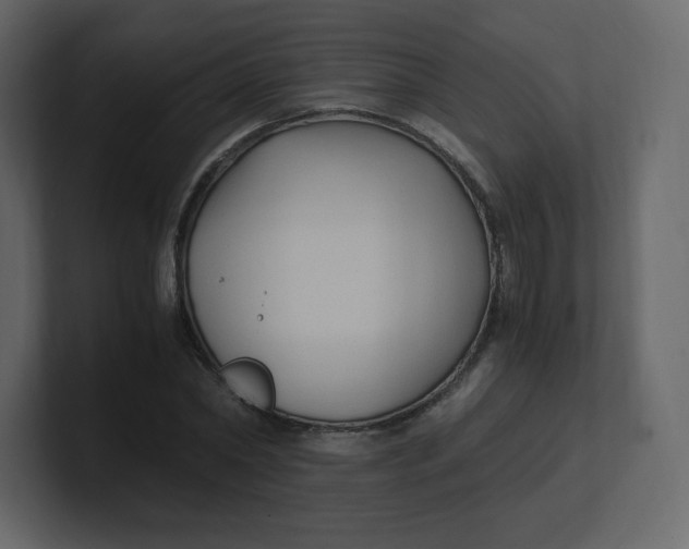 X0000100940782200807151305