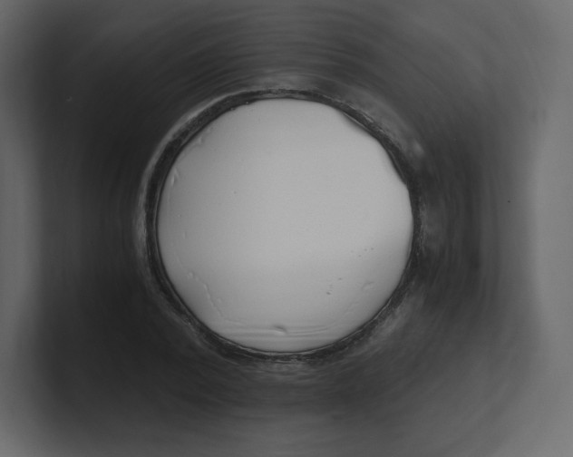 X0000100940784200807151305