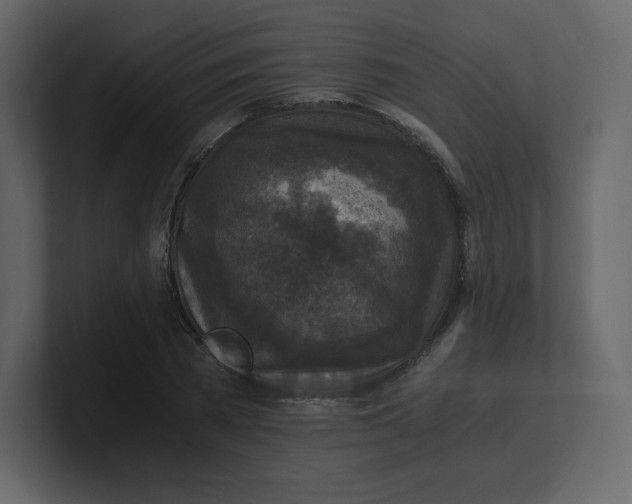 X0000100940785200807151305