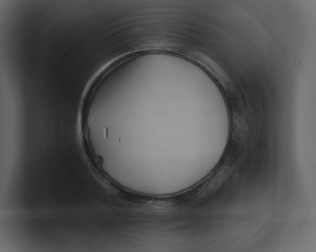 X0000100940788200807151305