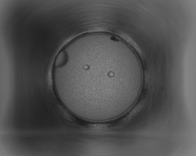 X0000100940789200807151305