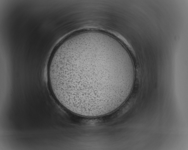 X0000100940791200807151305