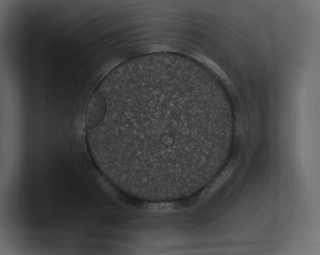 X0000100940793200807151305