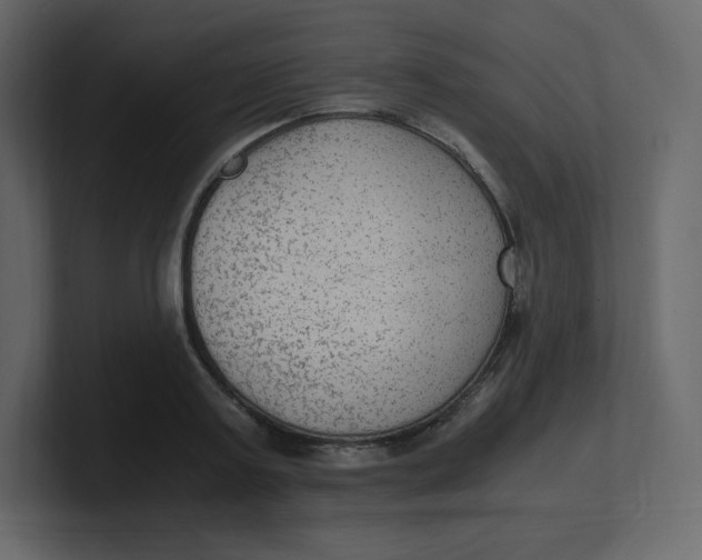 X0000100940795200807151305