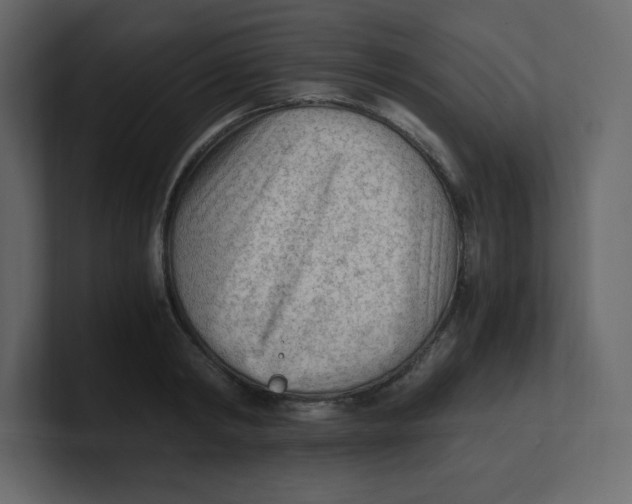 X0000100940798200807151305