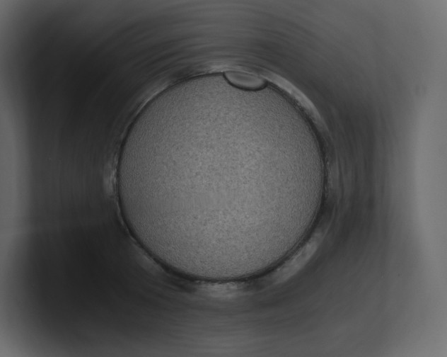 X0000100940801200807151305