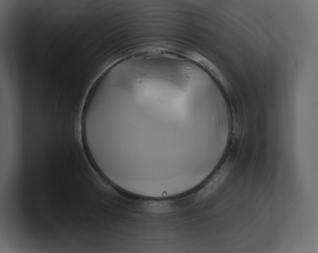 X0000100940802200807151305