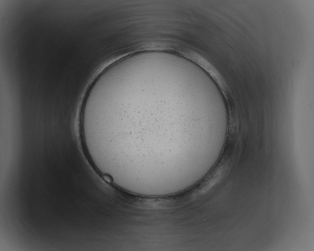 X0000100940803200807151305