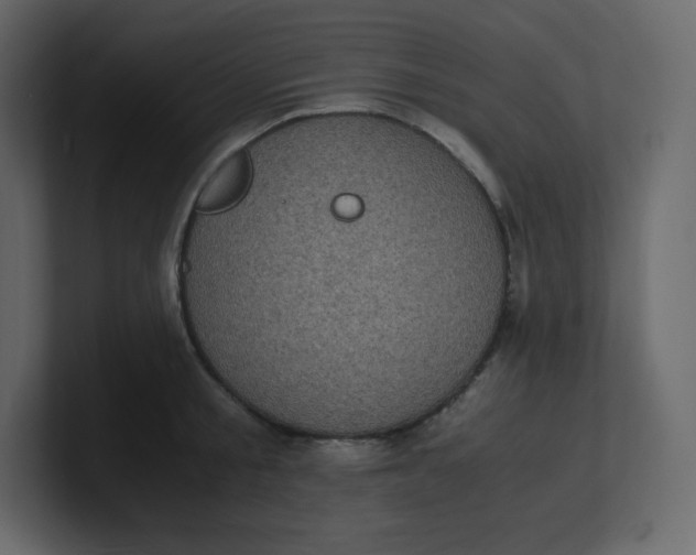 X0000100940805200807151305