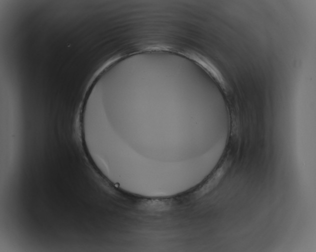 X0000100940806200807151305