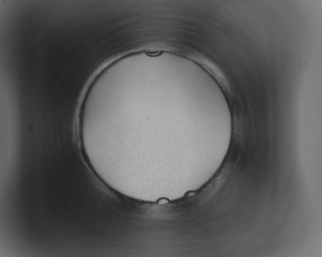 X0000100940808200807151305