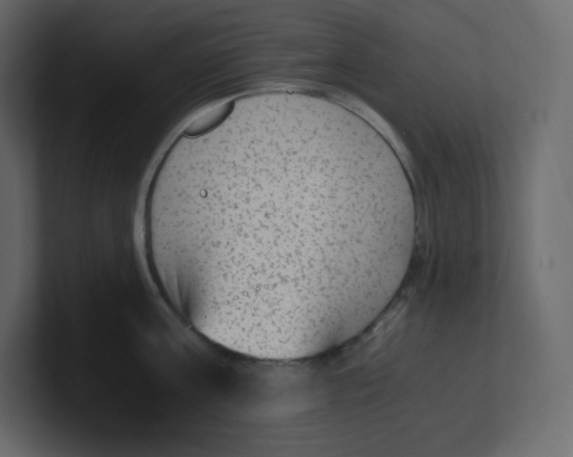 X0000100940811200807151305