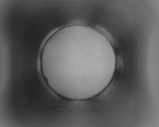 X0000100940812200807151305