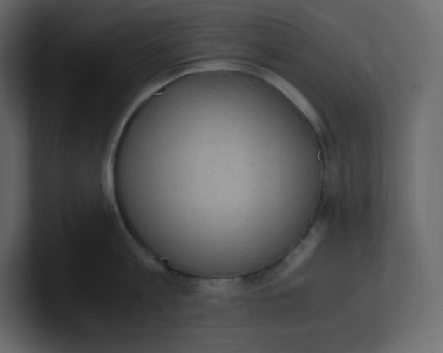 X0000100940813200807151305