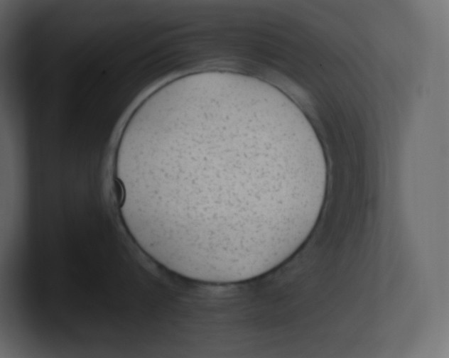 X0000100940816200807151305