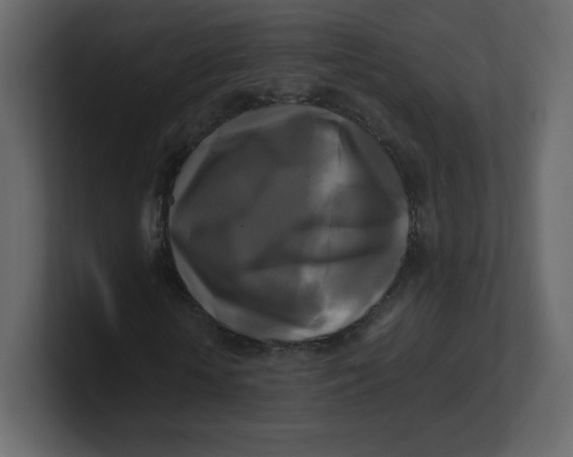 X0000100940818200807151304