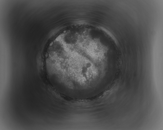 X0000100940823200807151304