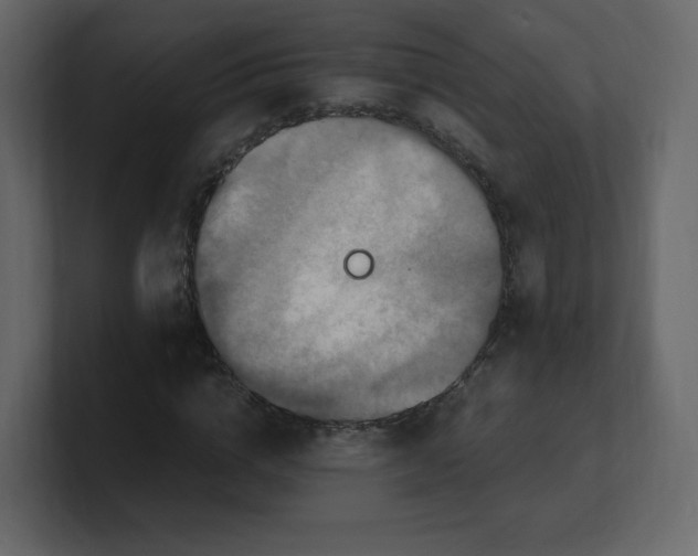 X0000100940824200807151304