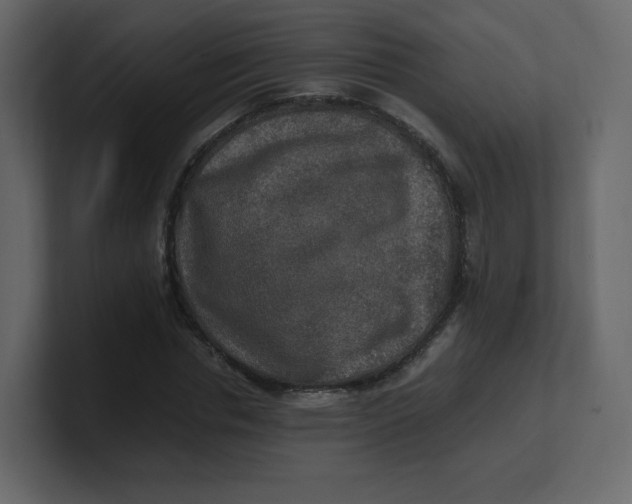 X0000100940826200807151304