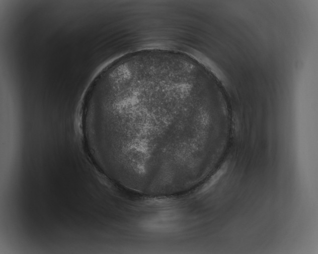 X0000100940830200807151304