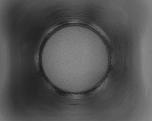 X0000100940831200807151304