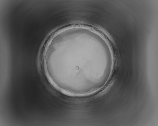 X0000100940832200807151304